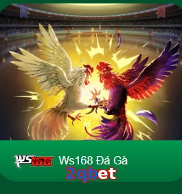 2qbet